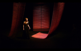 Carmen - Cécile Falcon 